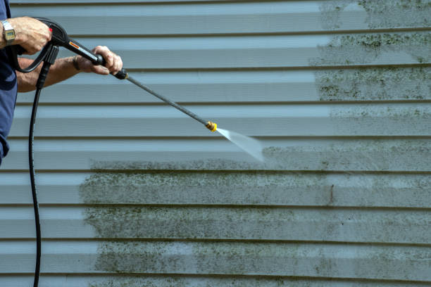 Best Residential Pressure Washing Services  in Winthrop Harbor, IL