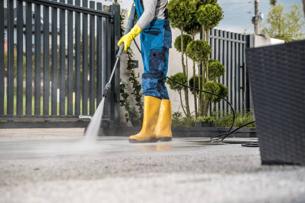 Best Pressure Washing Brick  in Winthrop Harbor, IL